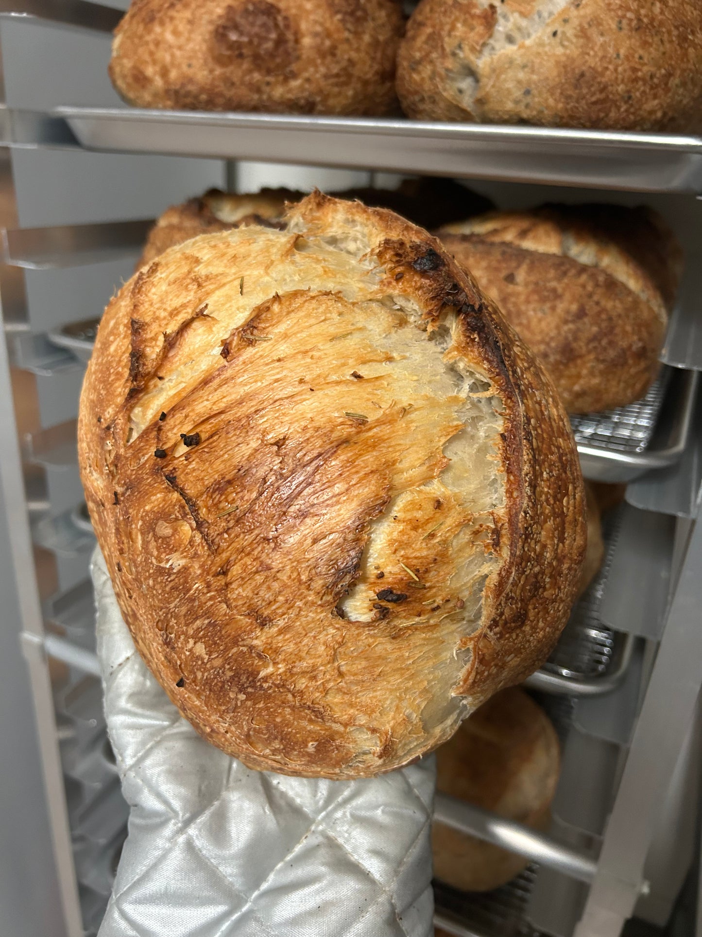 Garlic Rosemary Sourdough