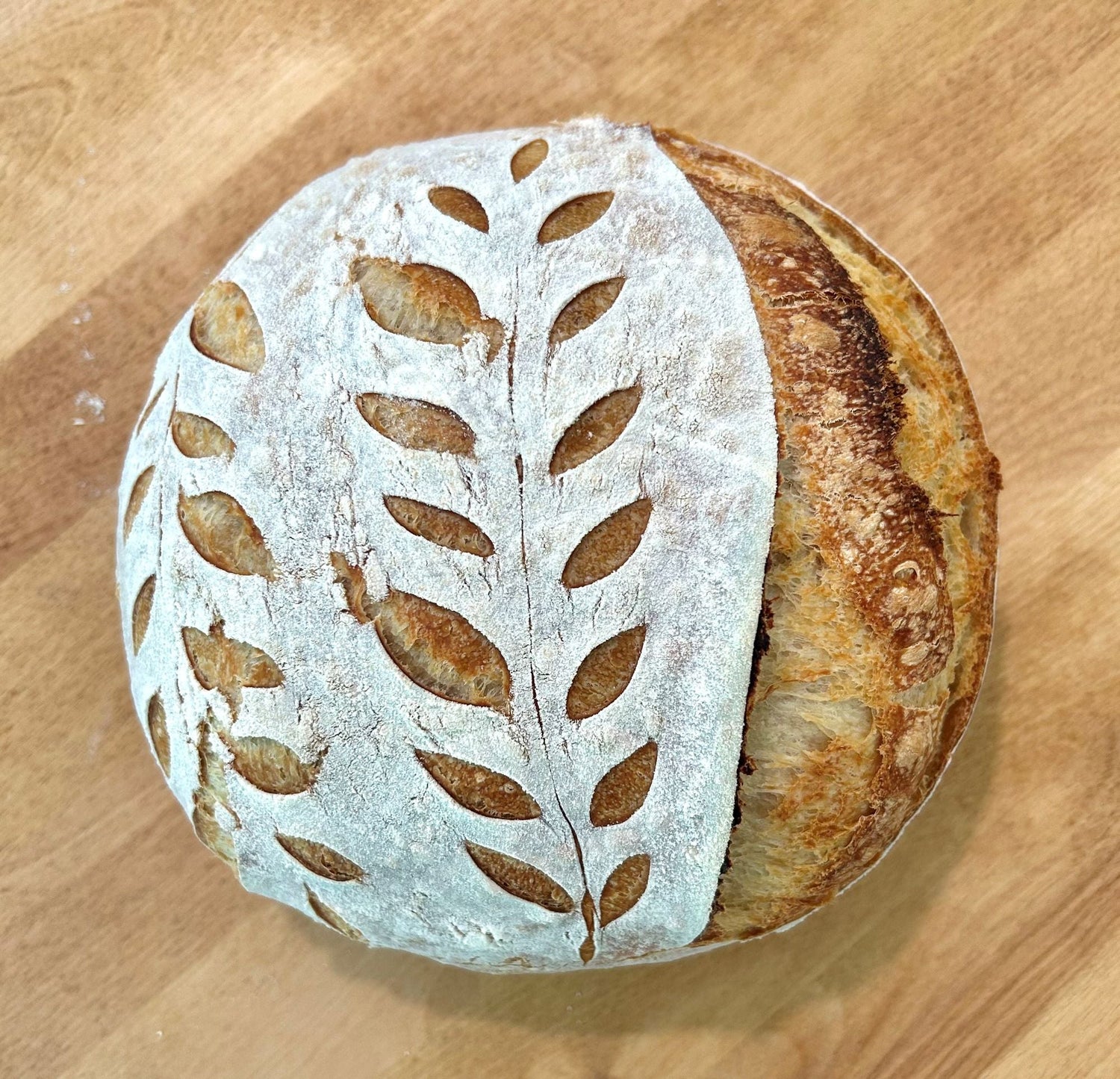 Sourdough Breads