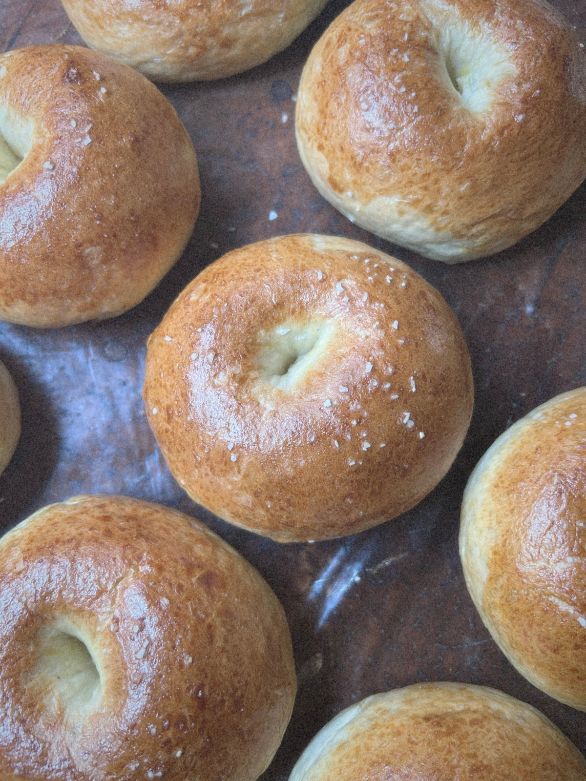 Sourdough Bagels - Organic Classic (4pk)