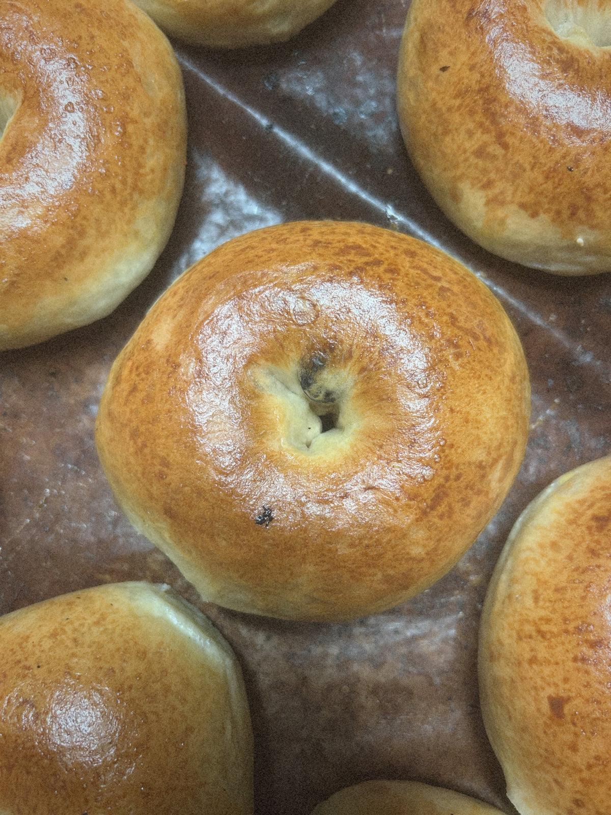 Sourdough Bagels - Organic Blueberry (4pk)