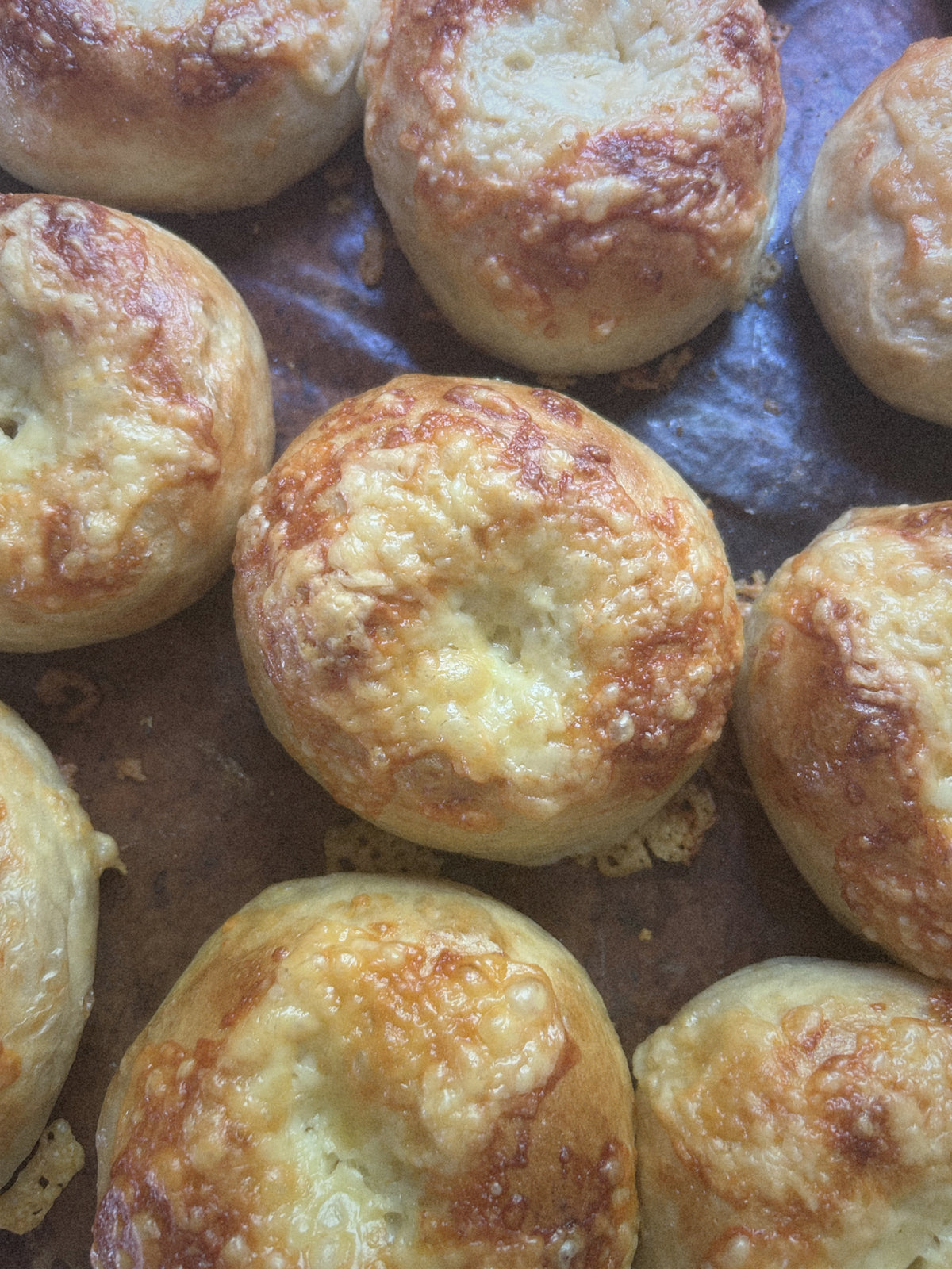 Sourdough Bagels - Asiago (4pk)