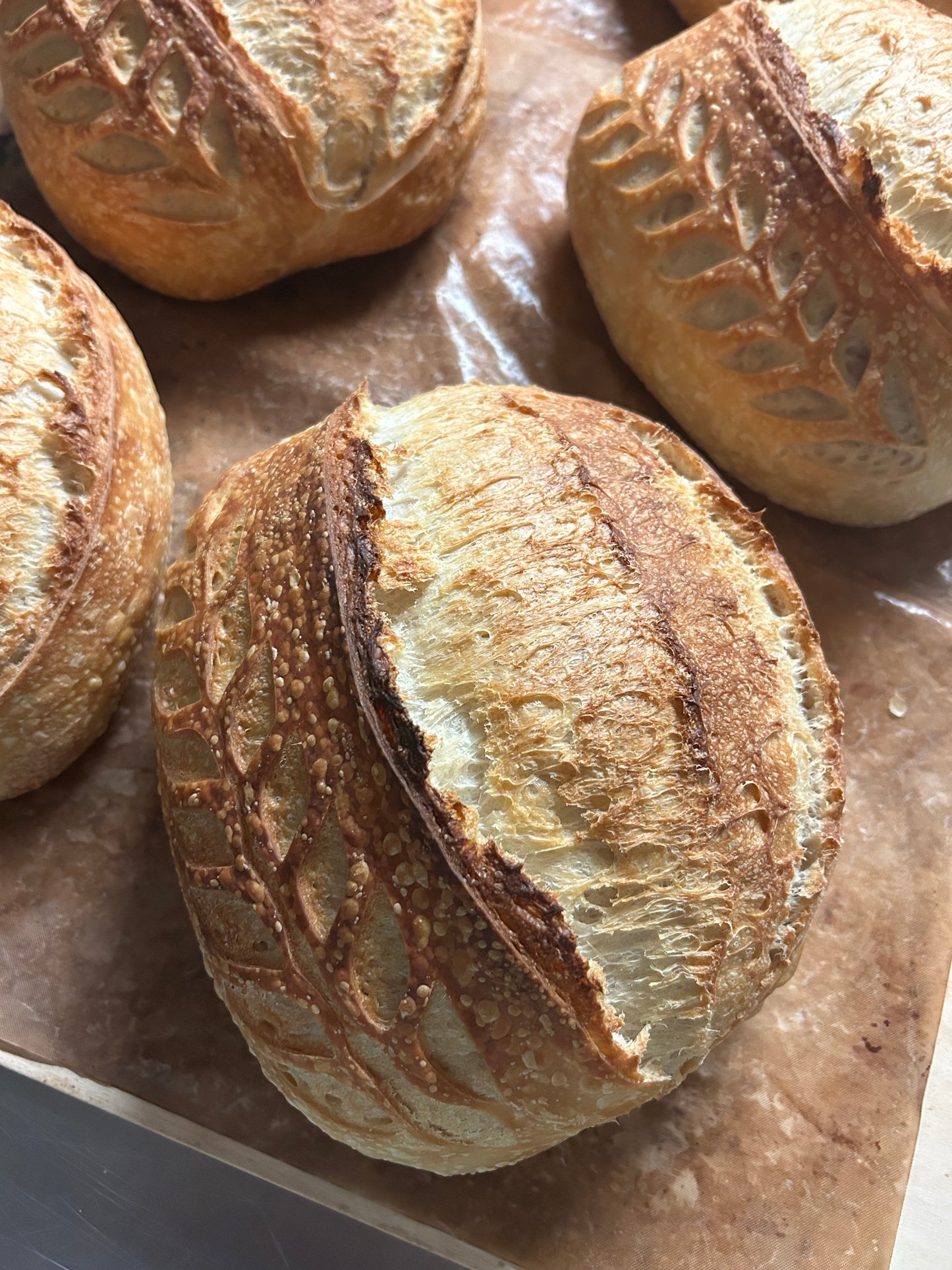 Classic Sourdough Bread