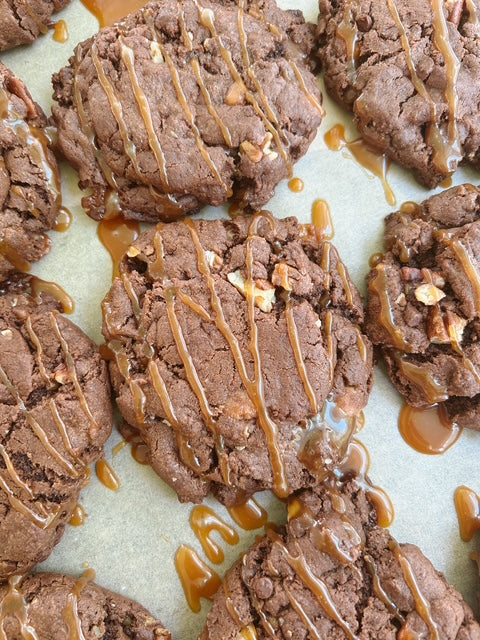 Chocolate Turtle (3 PK)