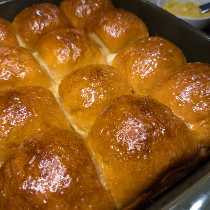 Honey Butter Dinner Rolls